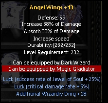 Angel-wings-+13-info.jpg