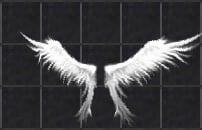 Angel-Wings.jpg