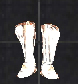 Evis-boots.jpg