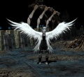 Angel-Wings-general.jpg